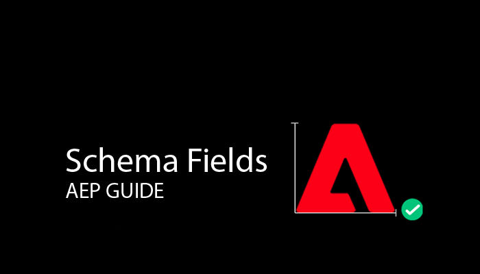 Schema Fields AEP Guide